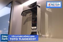 Vòi Chậu ToTo TLG08303V ảnh 5