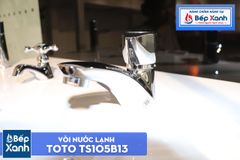 Vòi Chậu ToTo TS105B13 ảnh 6
