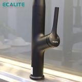 Vòi rửa chén nóng lạnh Pull-out Ecalite EF-K541B