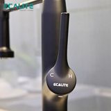 Vòi rửa chén nóng lạnh Pull-out Ecalite EF-K541B