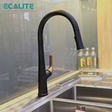 Vòi rửa chén nóng lạnh dây rút Pull-out Ecalite EF-K569BR