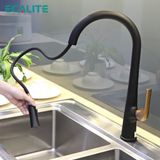 Vòi rửa chén nóng lạnh dây rút Pull-out Ecalite EF-K569BR