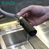 Vòi rửa chén nóng lạnh S-curve Ecalite EF-N288S