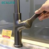 Vòi rửa chén nóng lạnh S-curve Ecalite EF-N288S