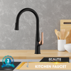  Vòi rửa chén nóng lạnh dây rút Pull-out Ecalite EF-K569BR 