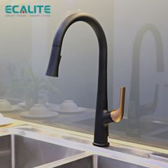 Vòi rửa chén nóng lạnh dây rút Pull-out Ecalite EF-K569BR ảnh 4