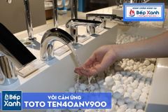 Vòi Tự Động ToTo TEN40ANV900/TN78-9V900/TVLF405 ảnh 4