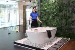 Vòi Xả Bồn Đặt Sàn ToTo TBP02303A/TBN01105B ảnh 3