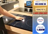 Bếp điện từ 3 vùng nấu Malloca MH 03IRB SB / Bếp 2 từ 1 điện, kính Eurokera chấm bi