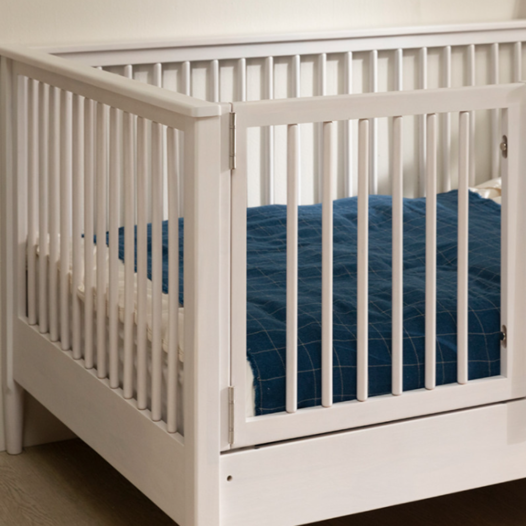  GIƯỜNG CŨI CHO BÉ | TORA SUPER SINGLE SIZE BED FOR KIDS 