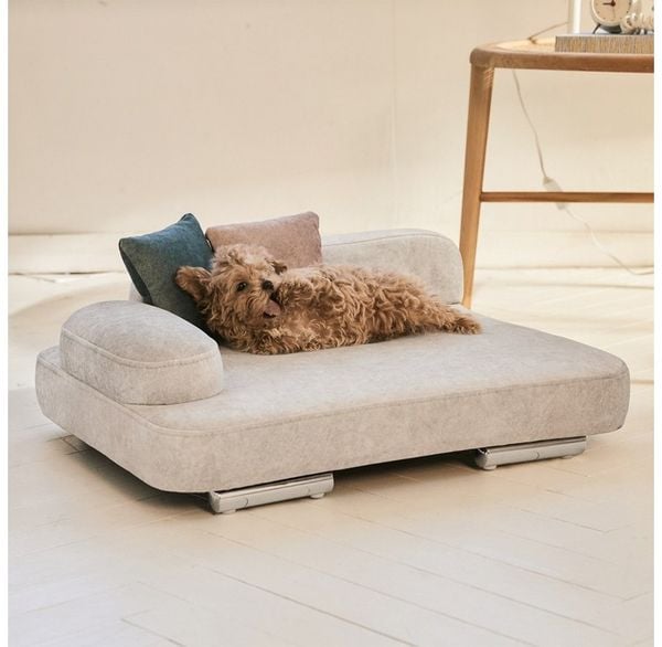  MUFFIN SOFA PET | GIƯỜNG SOFA CHO THÚ CƯNG 