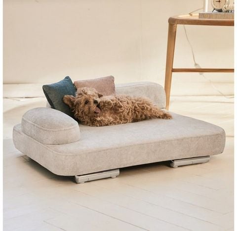  MUFFIN SOFA PET | GIƯỜNG SOFA CHO THÚ CƯNG 