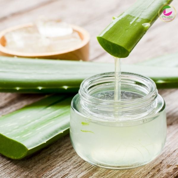 Massage Body bằng nha đam