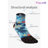  Vớ Xỏ Ngón Cổ Trung Aonijie E4842 - Yellow 