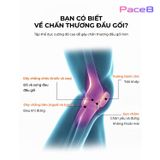  Bó Calf/ Bó Bắp Chân Chạy Bộ RunTiger 5949 - Màu Xanh Đen 
