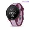  Đồng Hồ Garmin Forerunner 165 Music GPS Wifi - Berry / Lilac 