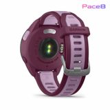  Đồng Hồ Garmin Forerunner 165 Music GPS Wifi - Berry / Lilac 
