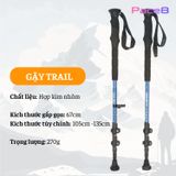  Gậy Leo Núi Trekking Husky Slate New 