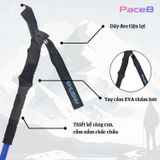  Gậy Leo Núi Trekking Husky Slate New 