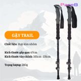  Gậy Leo Núi Trekking Husky Sprun 