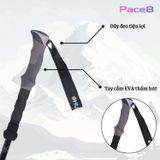  Gậy Leo Núi Trekking Husky Sprun 
