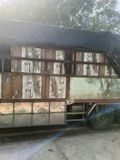  ghế UR cao cấp 