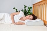  Titan Foam - Nệm Cao Su Non 