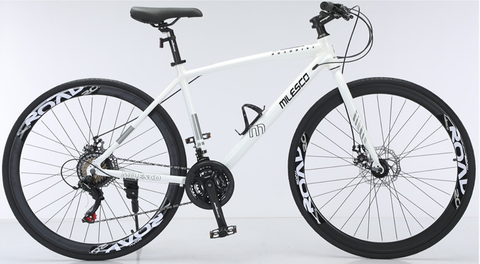  Xe Đạp Touring Milesco ML R500 