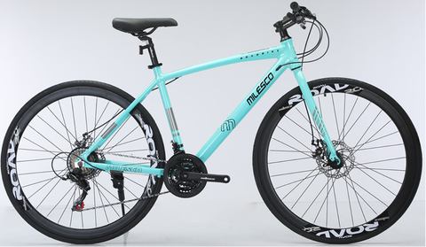  Xe Đạp Touring Milesco ML R500 