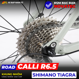  XE ĐẠP ĐUA CALLI R6.5, SHIMANO TIAGRA, KHUNG NHÔM, TAY ĐỀ LẮC 