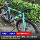  Xe đạp Fixgear Life Miracle 
