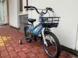  Xe đạp trẻ em nam XDD 16in 