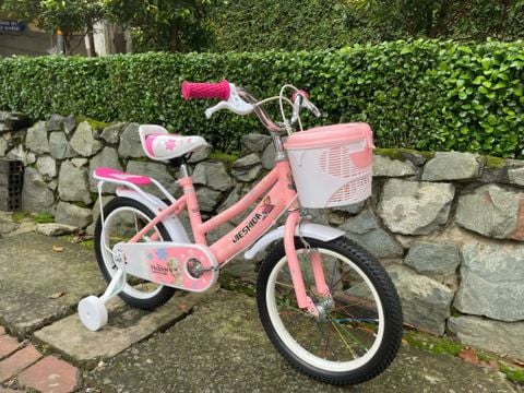  Xe đạp trẻ em nữ Jieshida 16in 