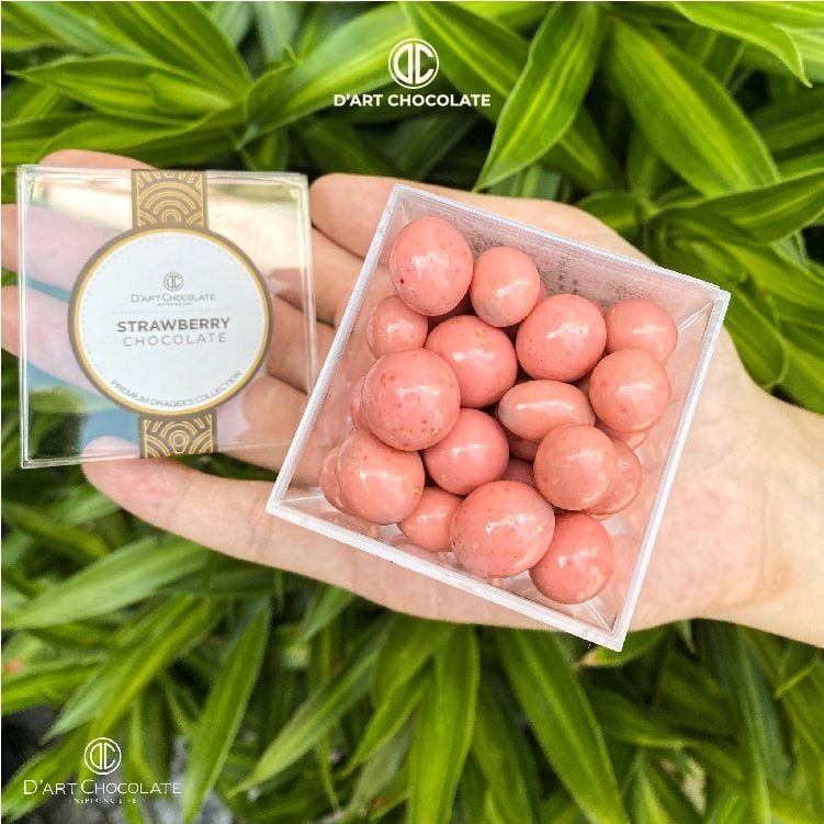  Dâu Sấy Phủ Socola - D'art Chocolate 65g 