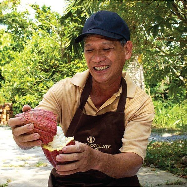  Hộp Quà Tặng 4 Viên Socola Tươi D'art Chocolate 