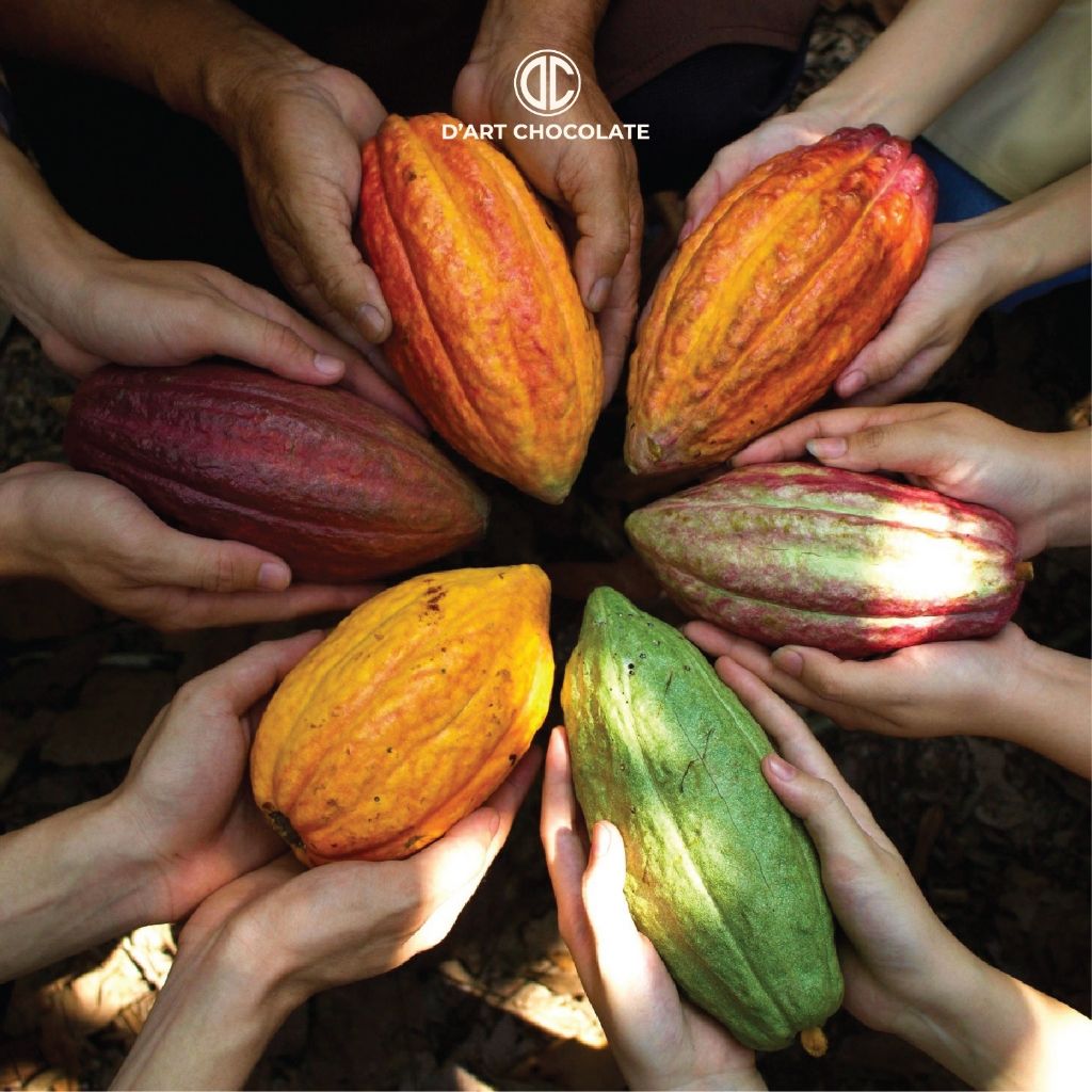  Thanh Socola Sữa Nguyên Chất Gold 30% Cacao - BST 4 Seasons 
