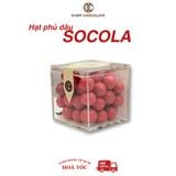  Dâu Sấy Phủ Socola - D'art Chocolate 65g 