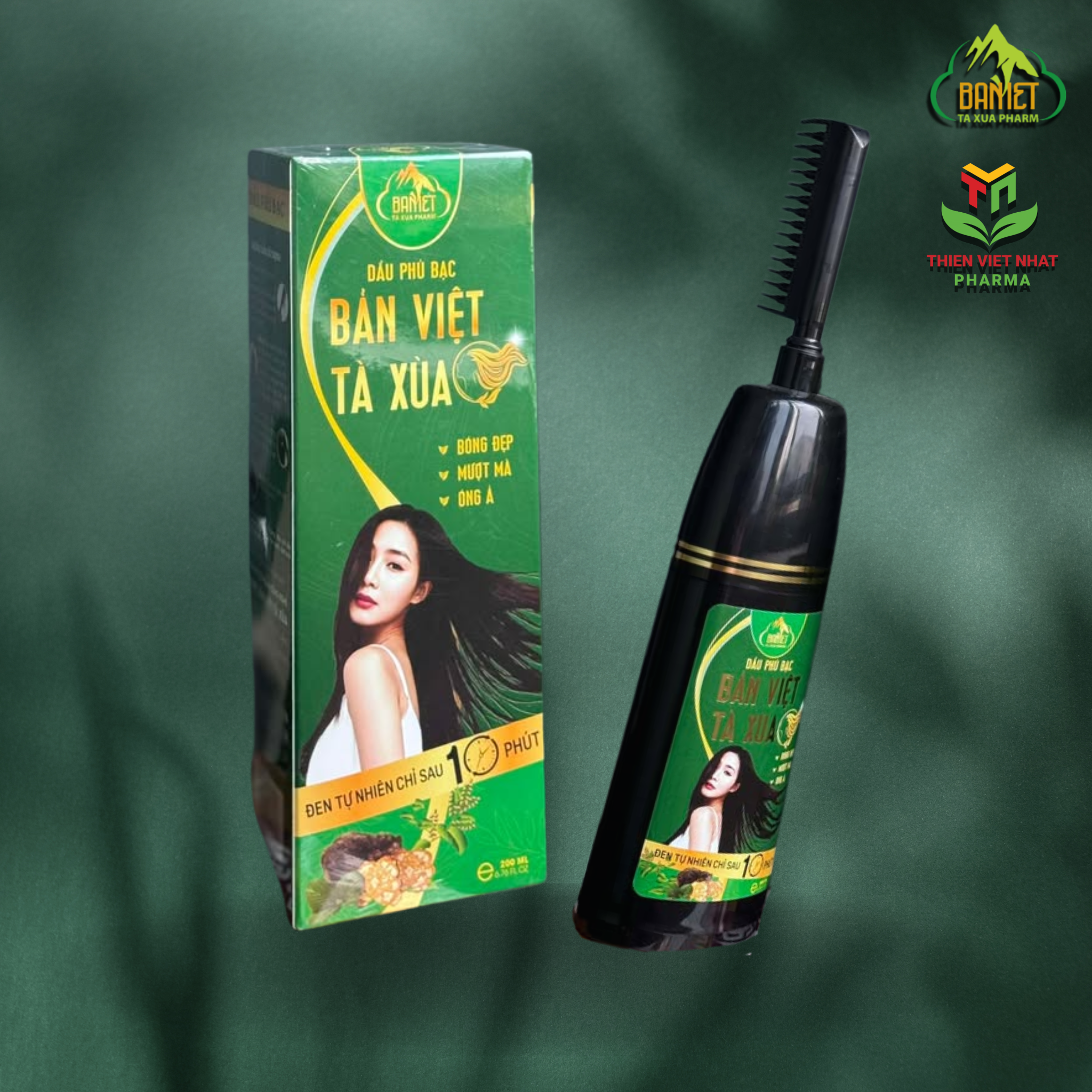 Dầu Phủ Bạc Bản Việt Tà Xùa 