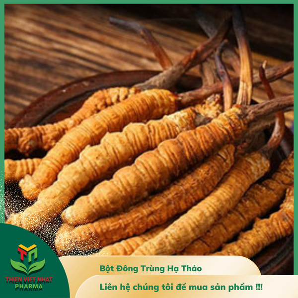  Bột Đông Trùng Hạ Thảo 