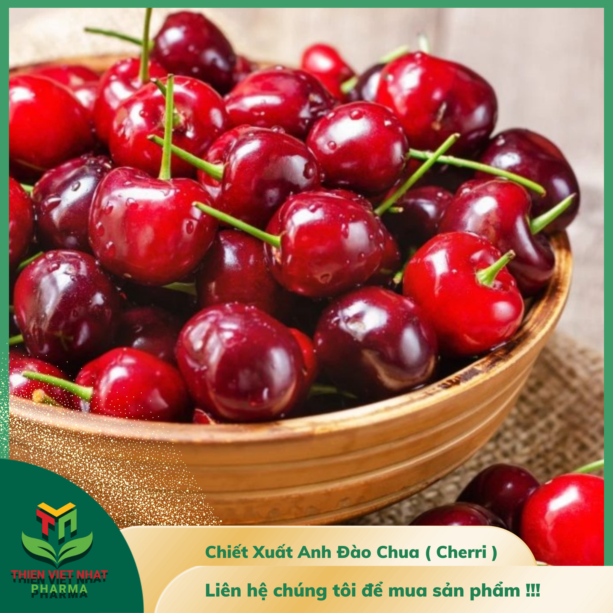  Chiết Xuất Anh Đào Chua ( Cherri ) 