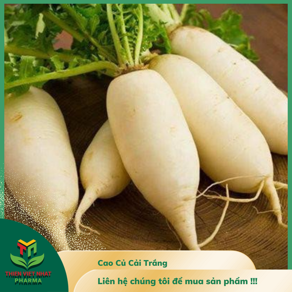  Cao Củ Cải Trắng 