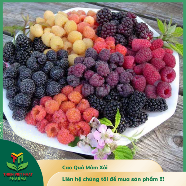  Cao Quả Mâm Xôi 