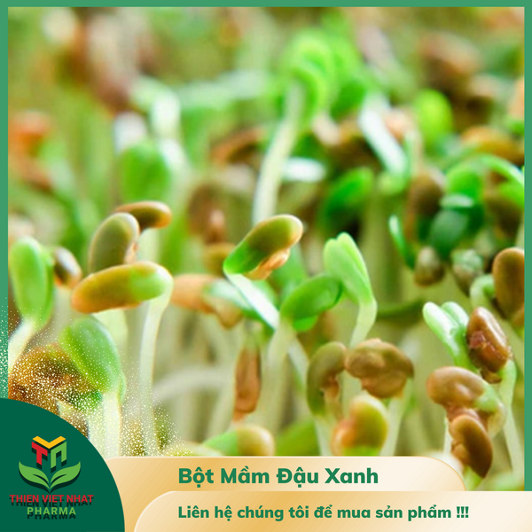  Bột Mầm đậu xanh 