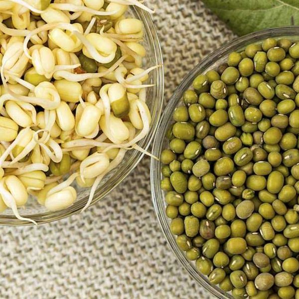  Bột Mầm đậu xanh 