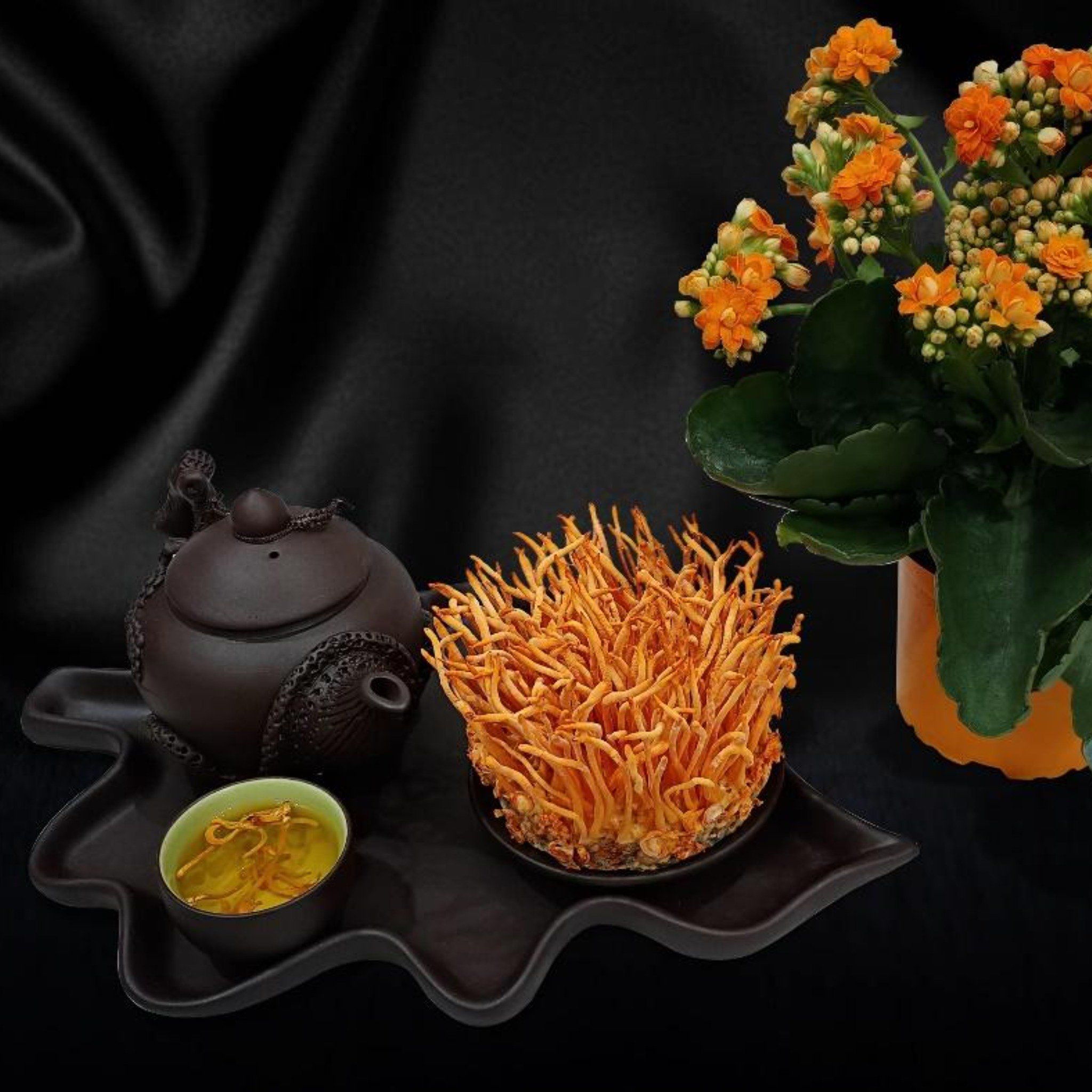  Bột Đông Trùng Hạ Thảo 
