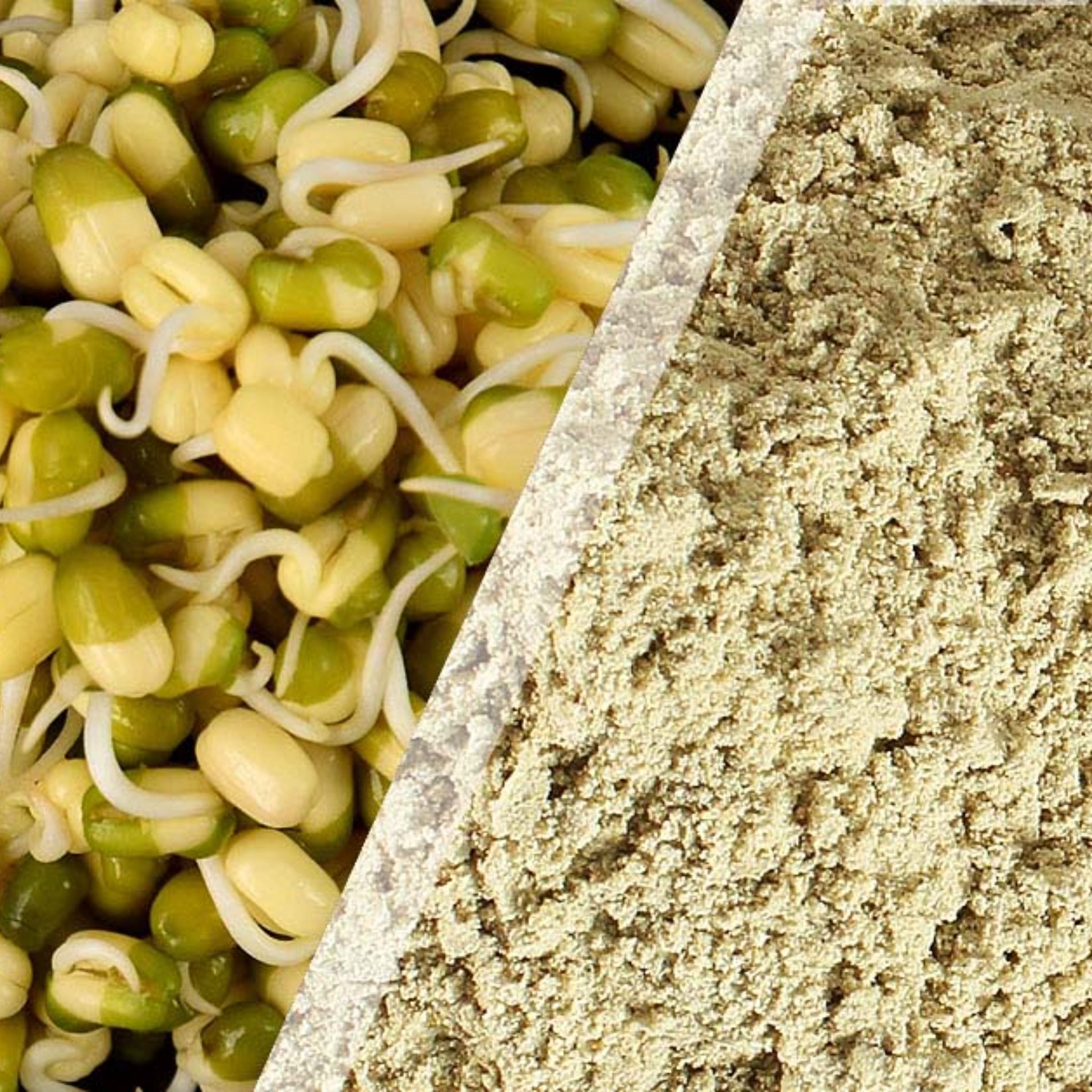  Bột Mầm đậu xanh 