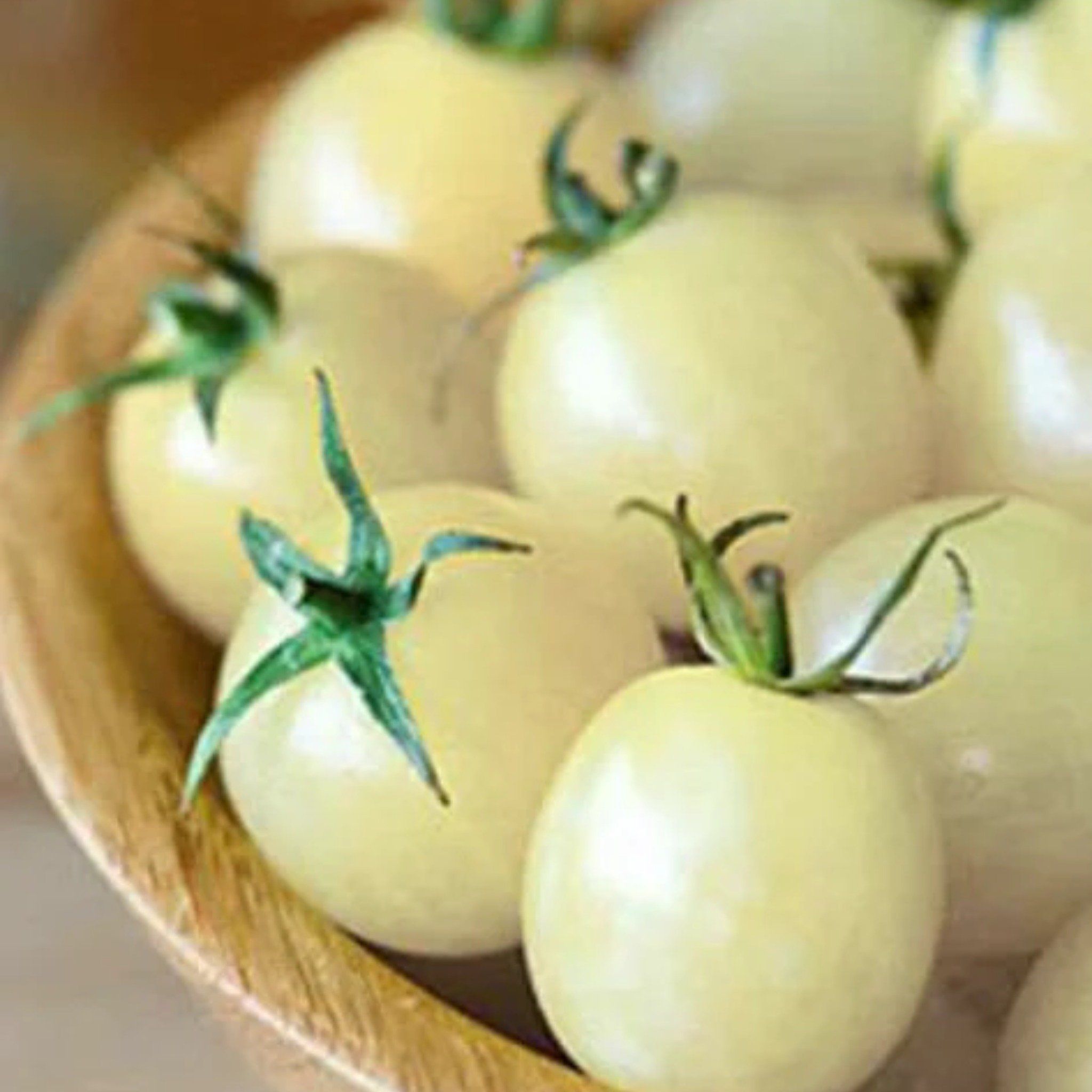 Chiết Xuất Cà Chua Trắng 