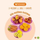  Đĩa Nhựa Tròn Nhiều Màu - An Toàn, Tiện Dụng, Chất Lượng Cao - Nhựa Vĩ Hưng 