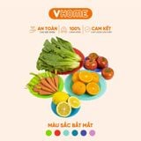  Đĩa Nhựa Tròn Nhiều Màu - An Toàn, Tiện Dụng, Chất Lượng Cao - Nhựa Vĩ Hưng 