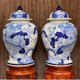  Đôi Chóe Sen Cá Dung Tích 40L 